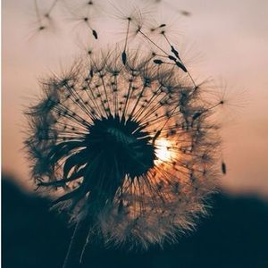 Meet your Posher, Fatima